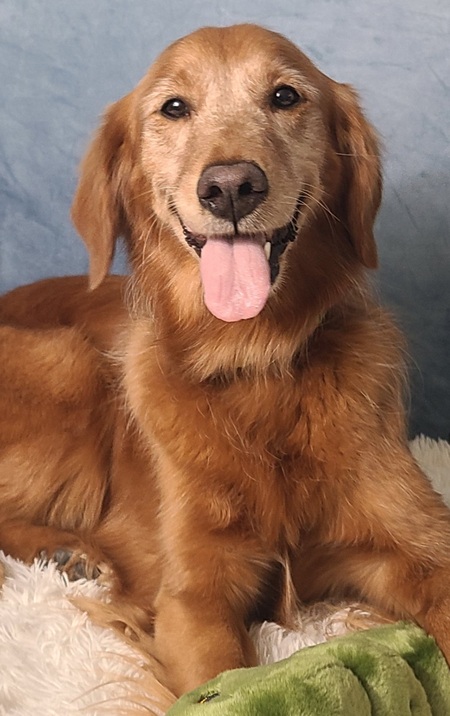 Jilly Bean