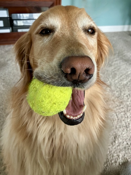 Rosie
