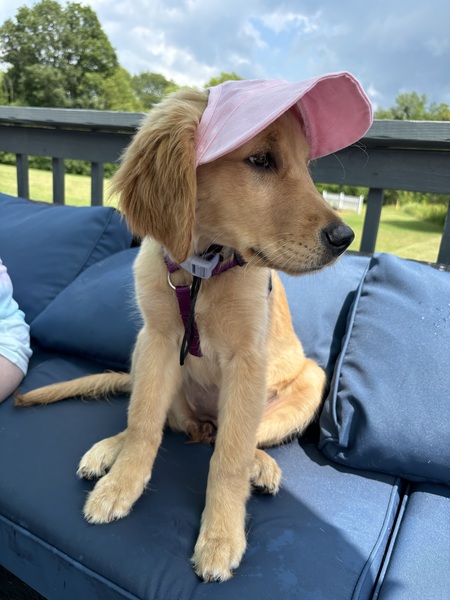 Tilly