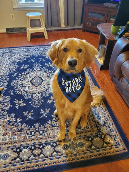 Cooper 