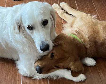 Maggie and Toby