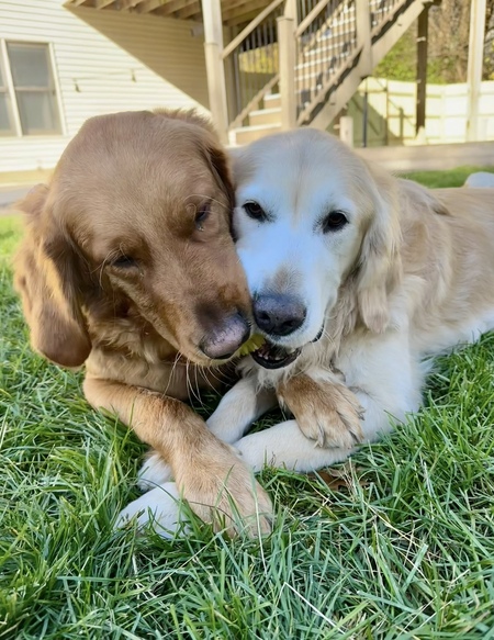 Naji and Bruce