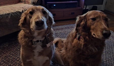Logan and Reba
