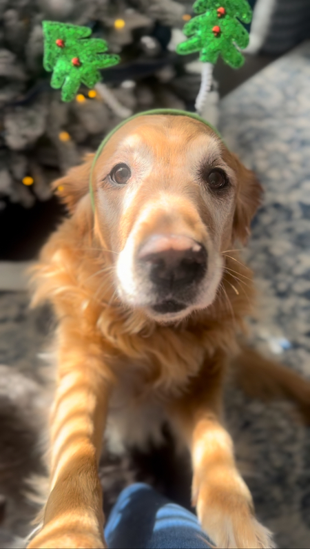 Nala