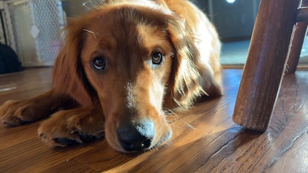 Molly Mae
