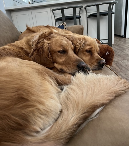 Ramsey and Layla