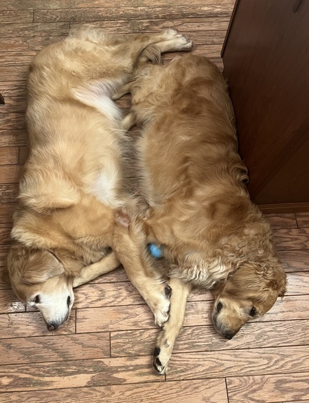 Molly and Waylon