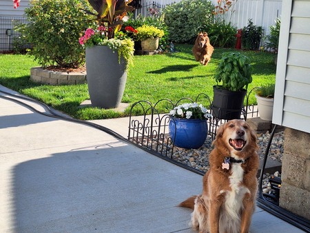Logan and Reba
