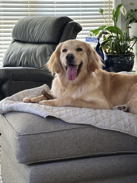 Ruger