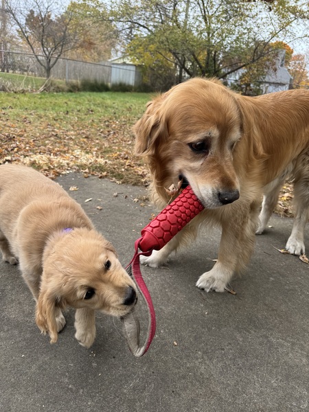 Zoey and Zeke