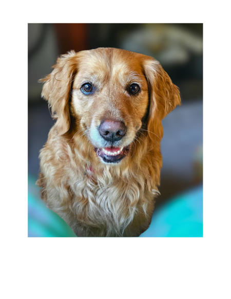 Sandi