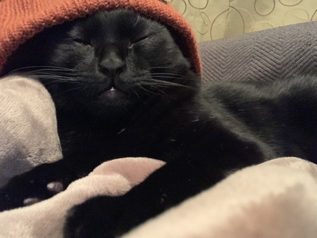 Salem