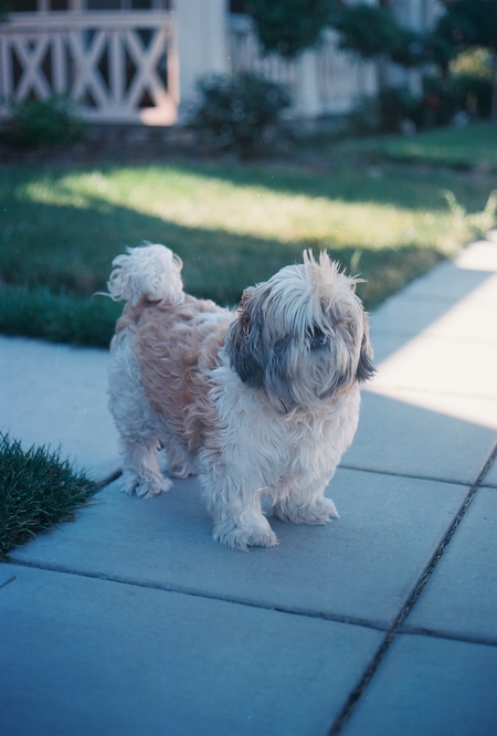 Coco