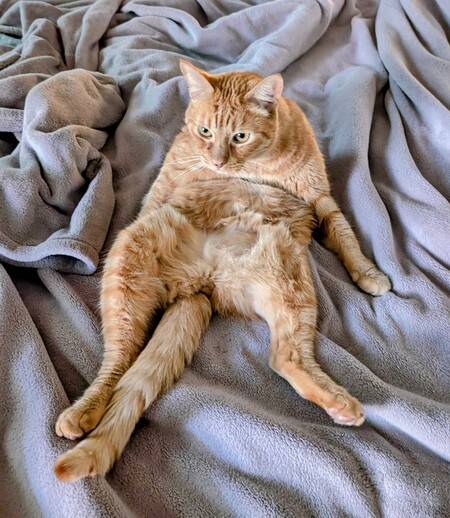 Rudy 