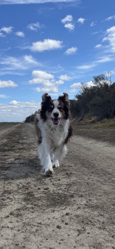 Luca