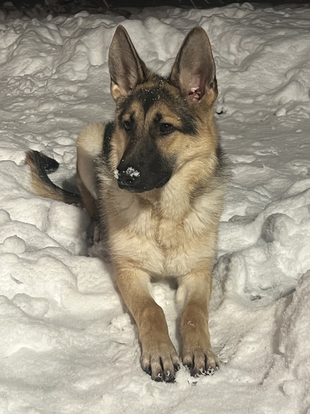 Charlie