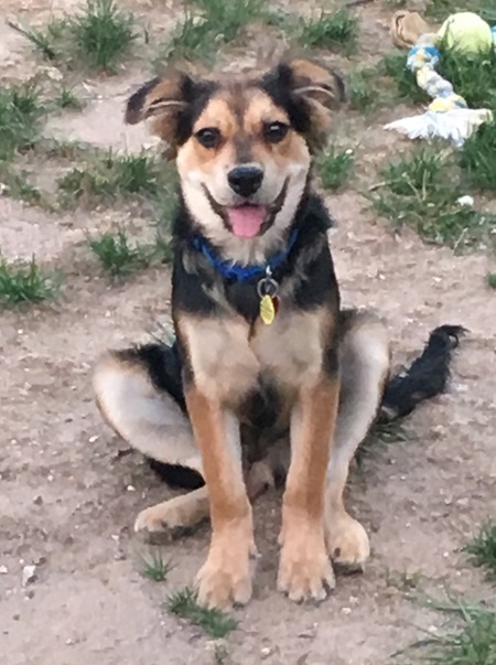 Bodhi
