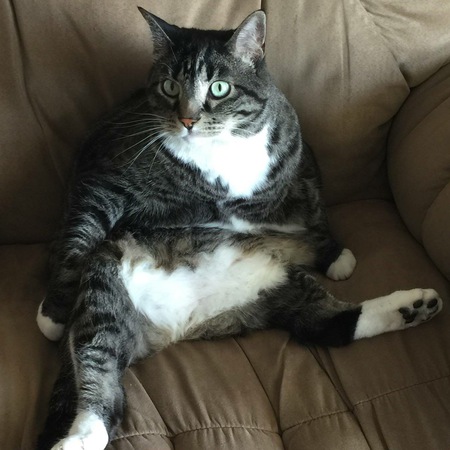 Peanut
