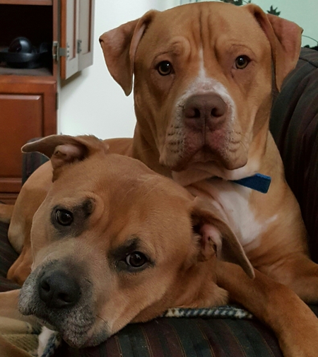 Titus and Mayvis