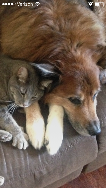 Kodiak and Stomps