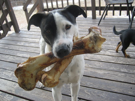 Max
