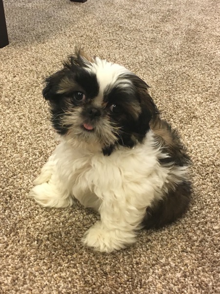 Mieko