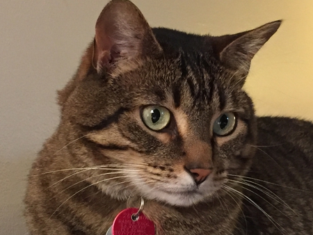 Molly
