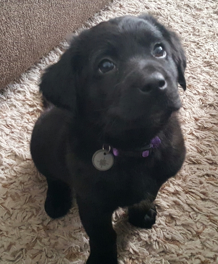 Onyx