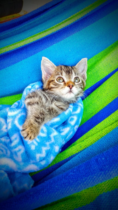 Twix