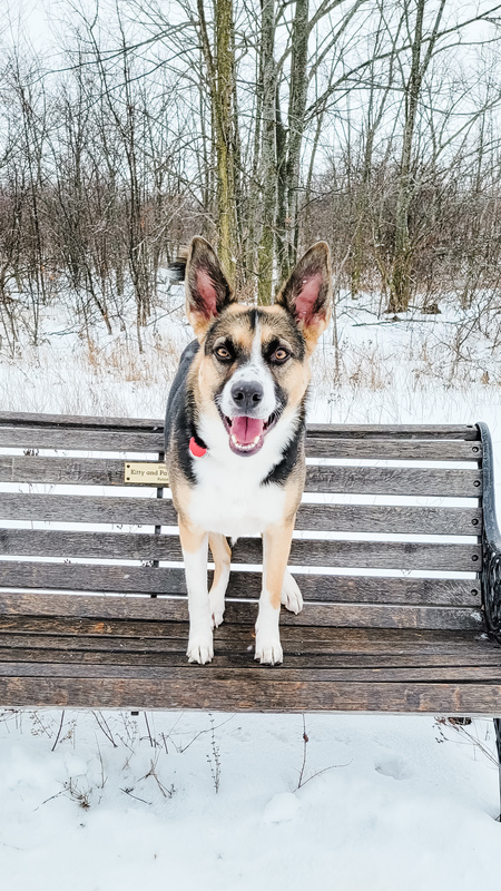 Sierra