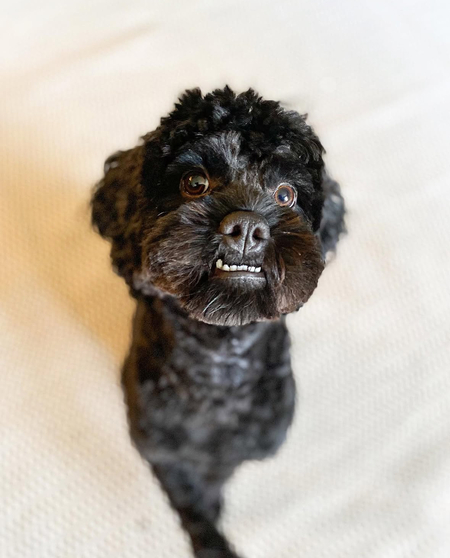 Zoë