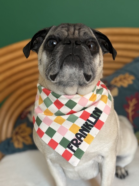 Franklin