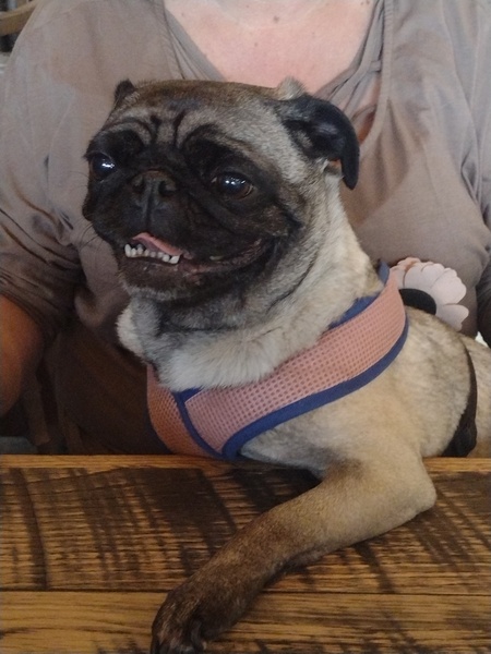 Lola