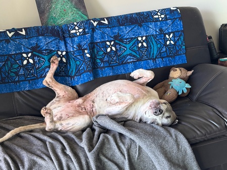 tIKI