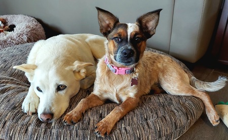 Aspen & Marley