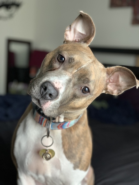 Chloe