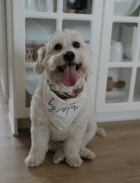 Bailey
