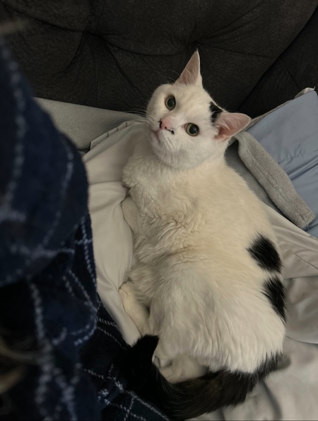 Steve 