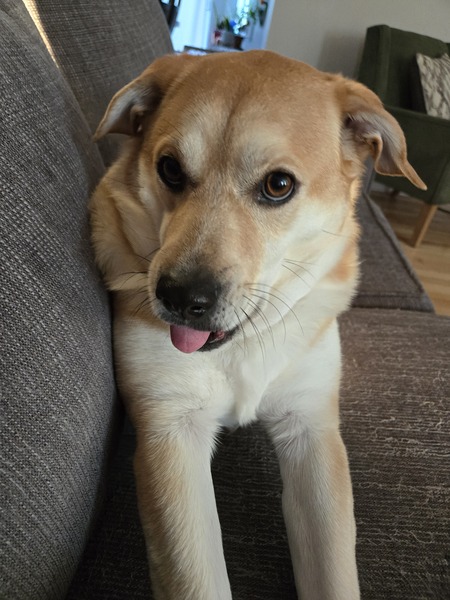 Baxter