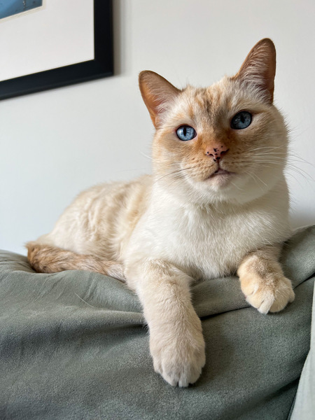 Walter