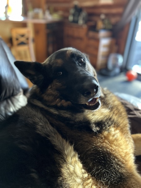 Wolfred (Fred)