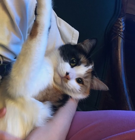 Lucie