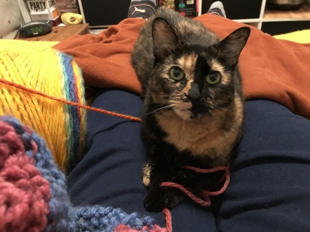 Precious
