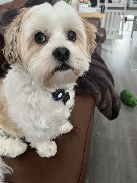 Cooper