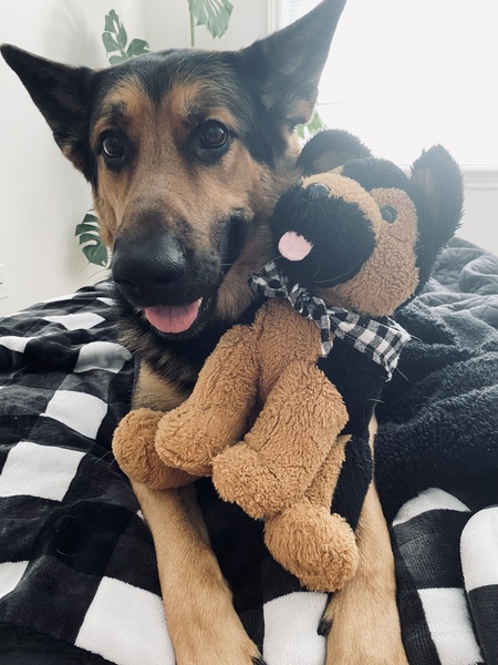Levi