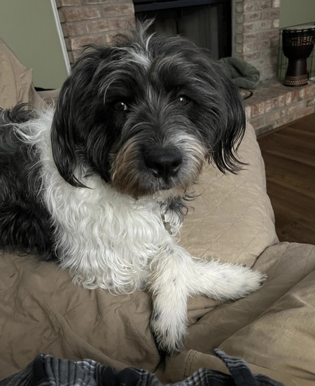 Josie