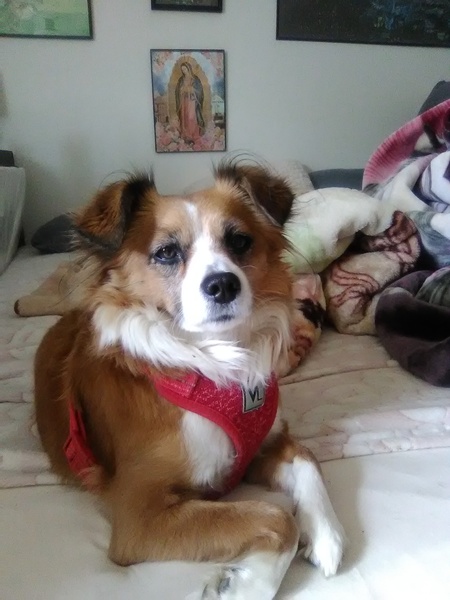 Esther