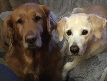 Daisy and Max
