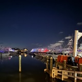 Entry image for The Calm Before the Marlin