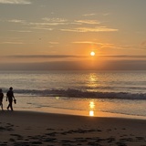 Entry image for Morning Glory